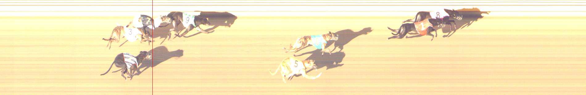 Photo finish for Shepparton Race 14