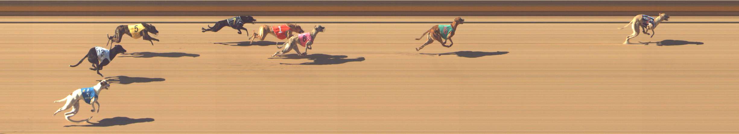 Photo finish for Shepparton Race 1