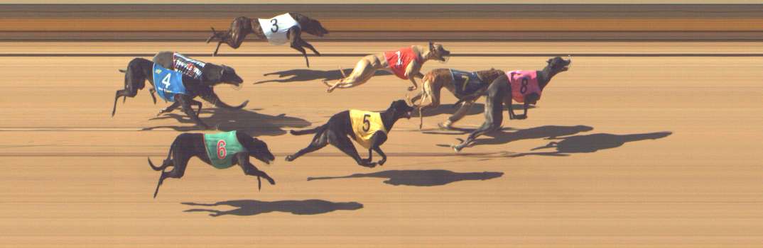Photo finish for Shepparton Race 2