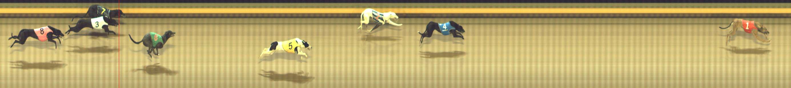 Photo finish for Shepparton Race 1