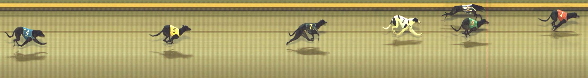 Photo finish for Shepparton Race 2