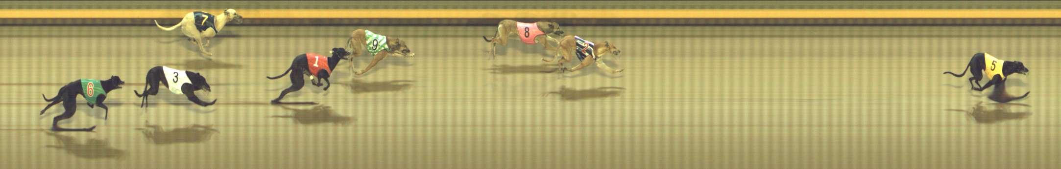 Photo finish for Shepparton Race 3