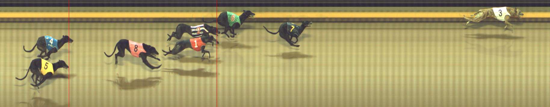 Photo finish for Shepparton Race 5