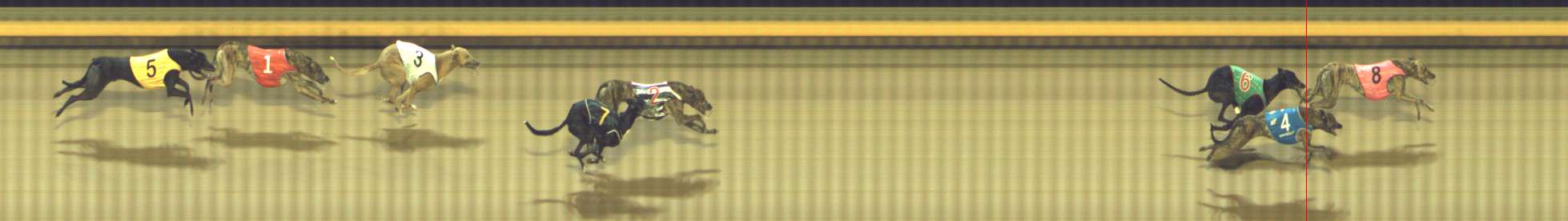 Photo finish for Shepparton Race 6