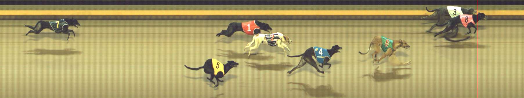 Photo finish for Shepparton Race 7