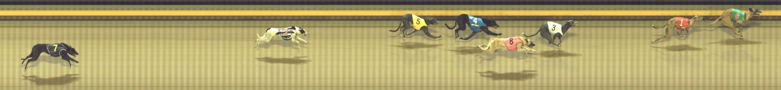 Photo finish for Shepparton Race 8