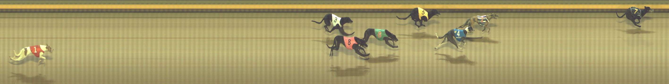 Photo finish for Shepparton Race 9