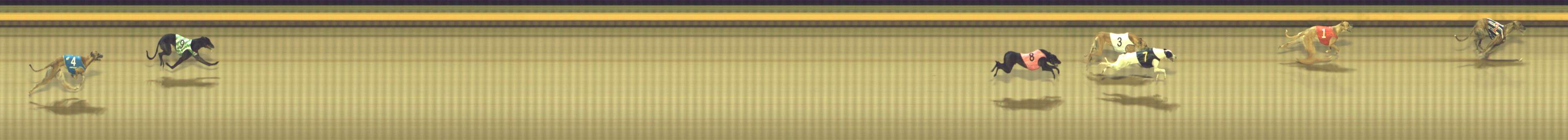 Photo finish for Shepparton Race 10
