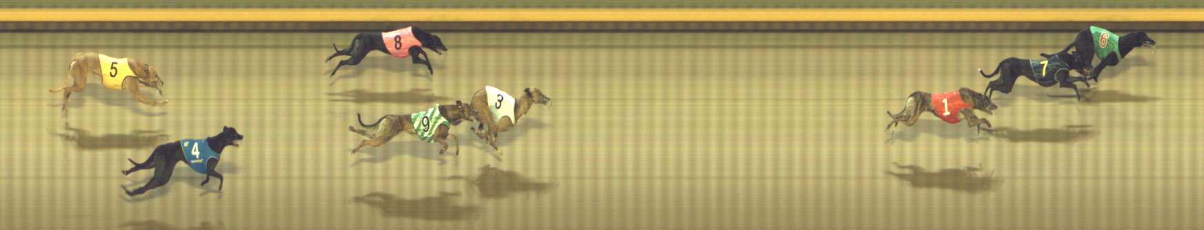Photo finish for Shepparton Race 11