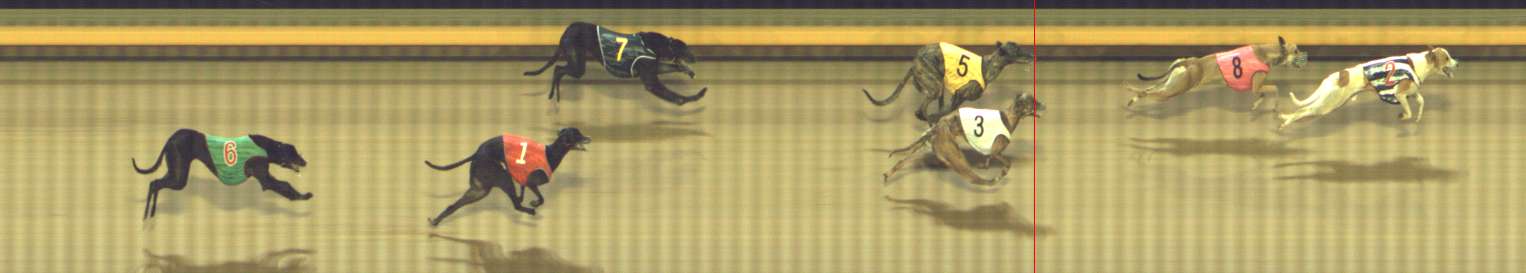 Photo finish for Shepparton Race 12