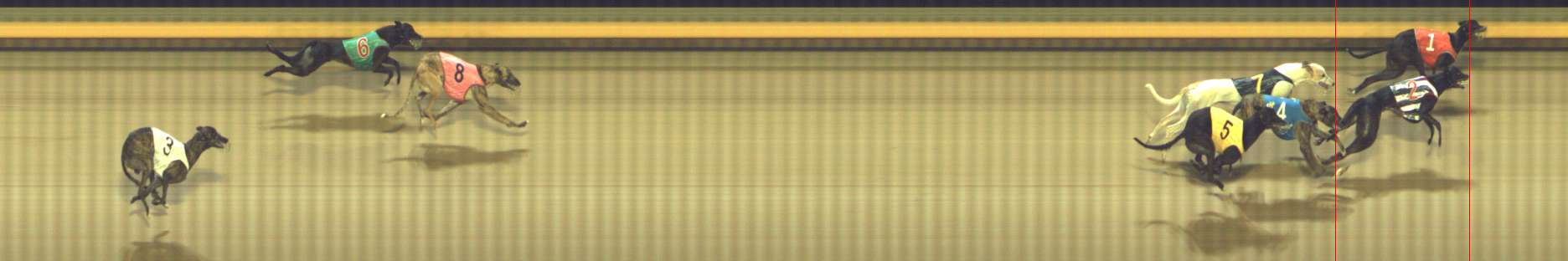 Photo finish for Shepparton Race 13