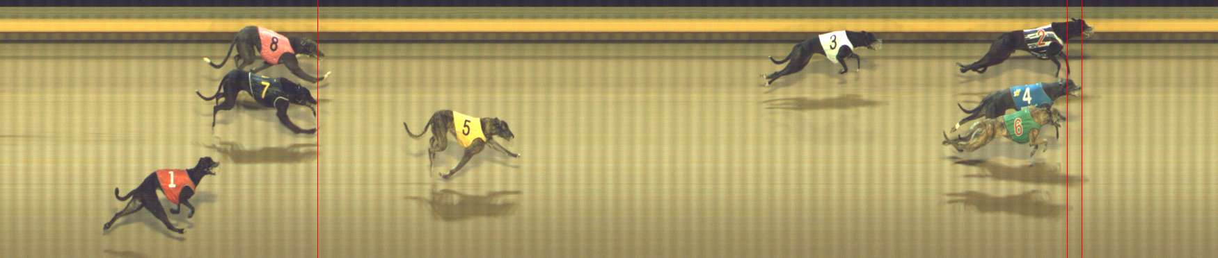 Photo finish for Shepparton Race 14