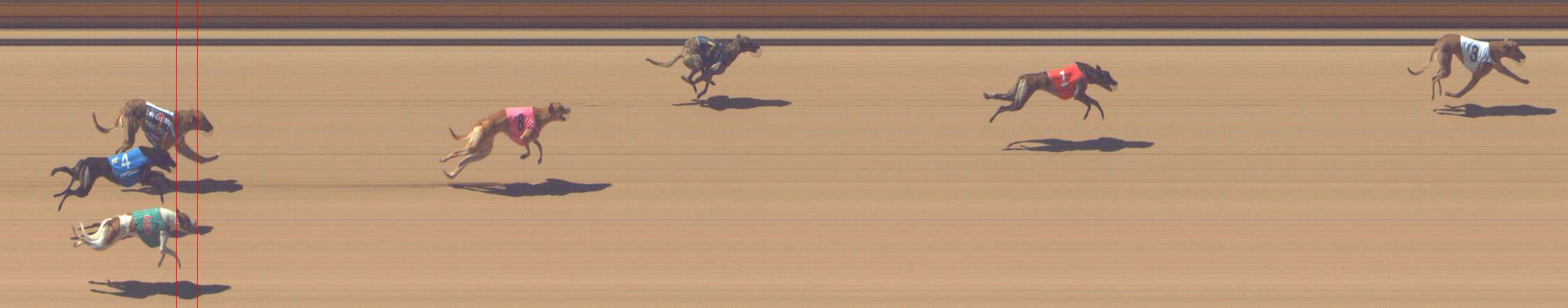 Photo finish for Shepparton Race 1