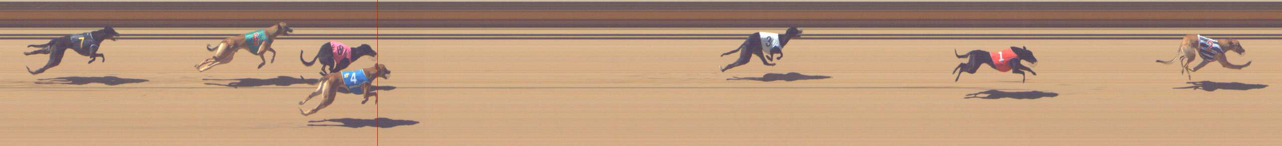 Photo finish for Shepparton Race 2