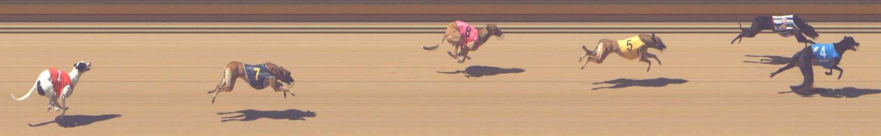 Photo finish for Shepparton Race 3