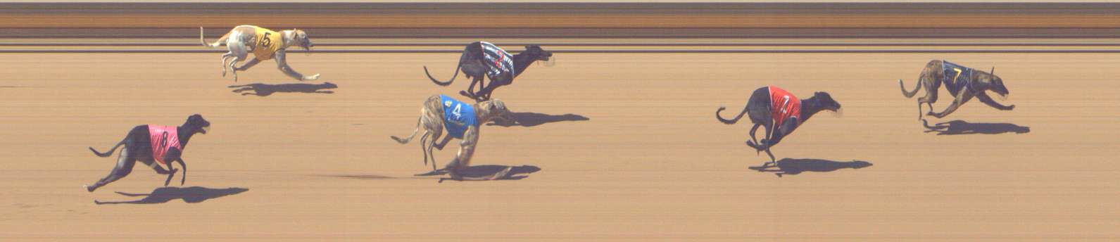 Photo finish for Shepparton Race 4