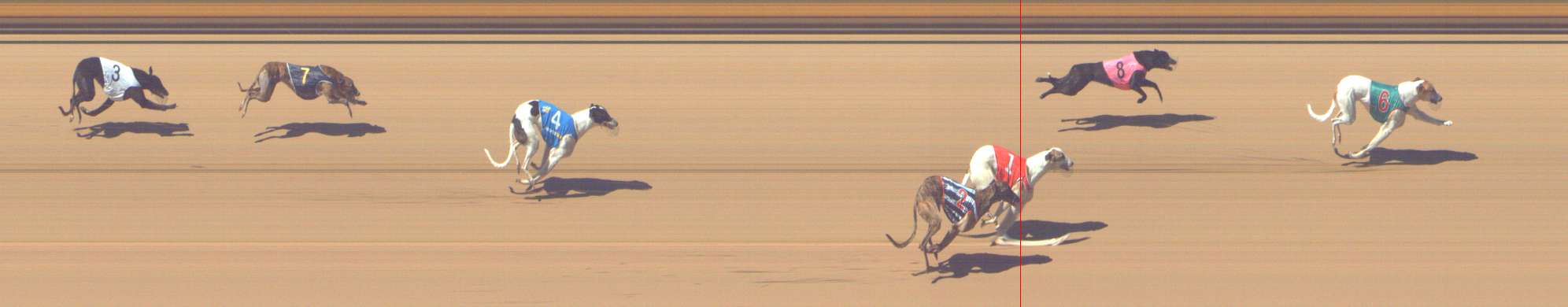 Photo finish for Shepparton Race 5