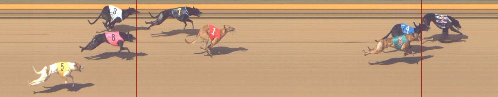 Photo finish for Shepparton Race 8