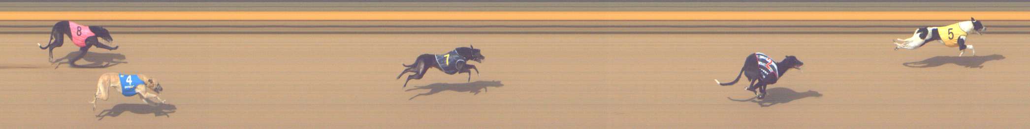 Photo finish for Shepparton Race 9