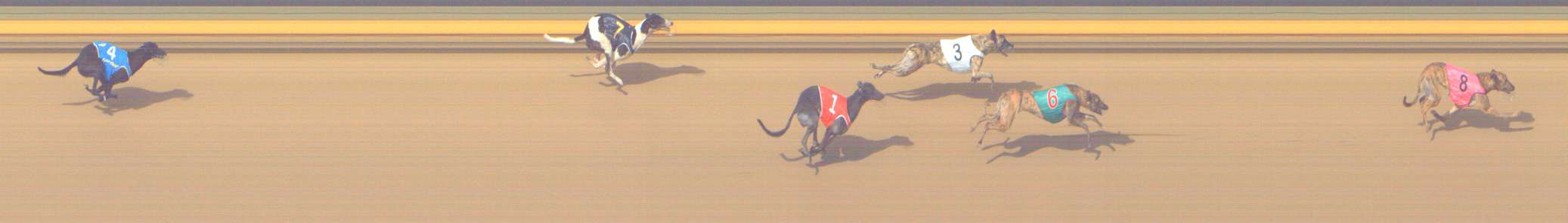 Photo finish for Shepparton Race 10