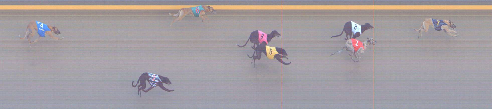 Window Track Grip Shepparton 22/10/2026