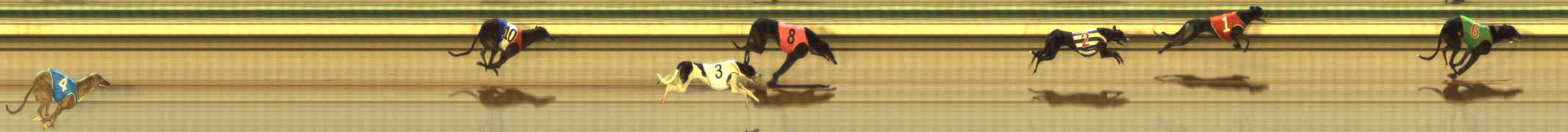 Photo finish for The Meadows Race 2