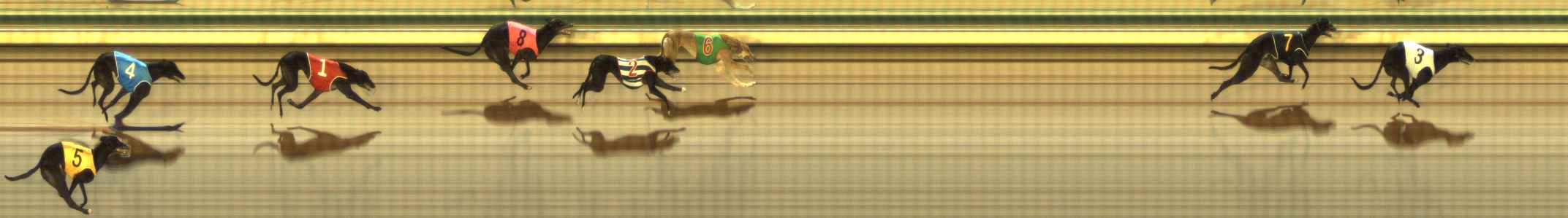 Photo finish for The Meadows Race 4