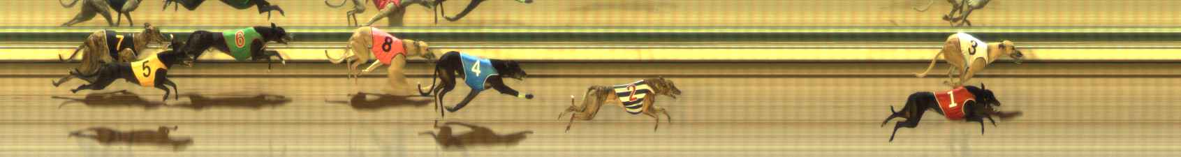 Photo finish for The Meadows Race 6