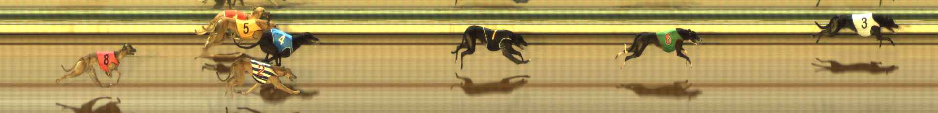 Photo finish for The Meadows Race 7