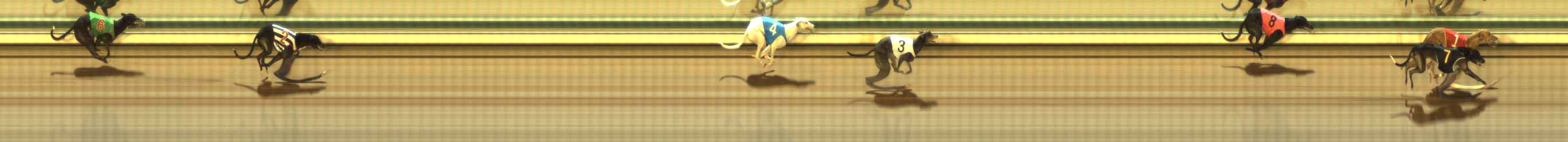 Photo finish for The Meadows Race 8