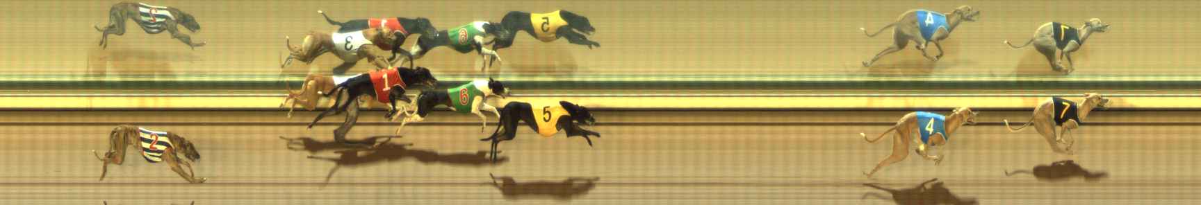 Photo finish for The Meadows Race 9