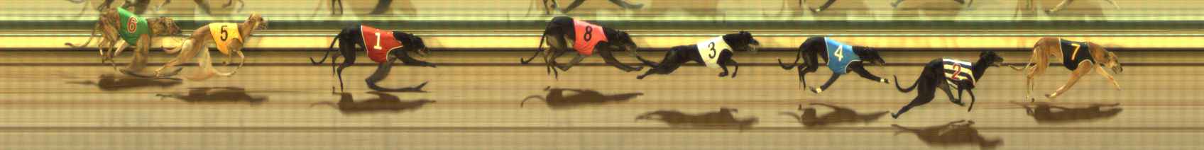 Photo finish for The Meadows Race 10