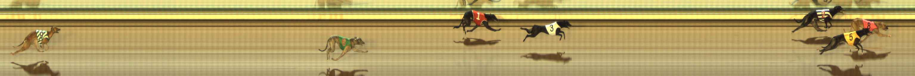 Photo finish for The Meadows Race 11