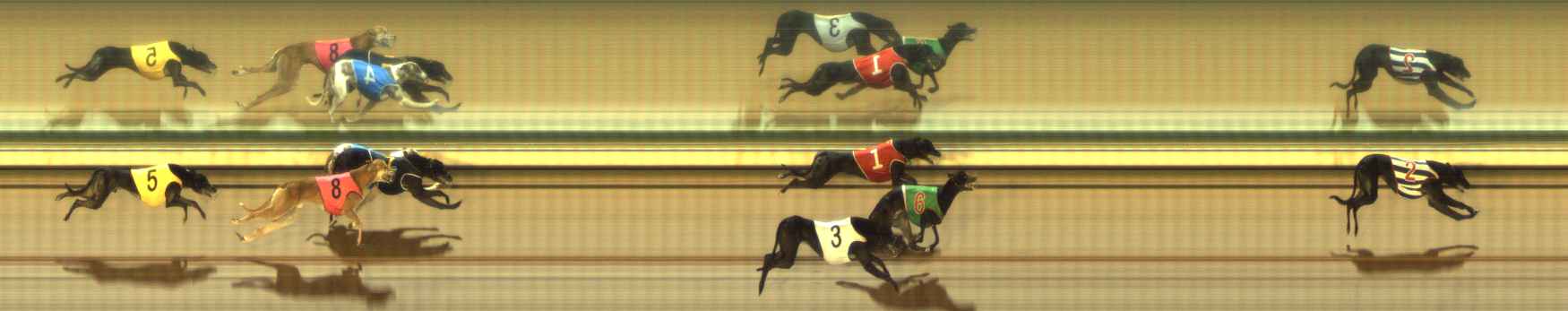 Photo finish for The Meadows Race 12
