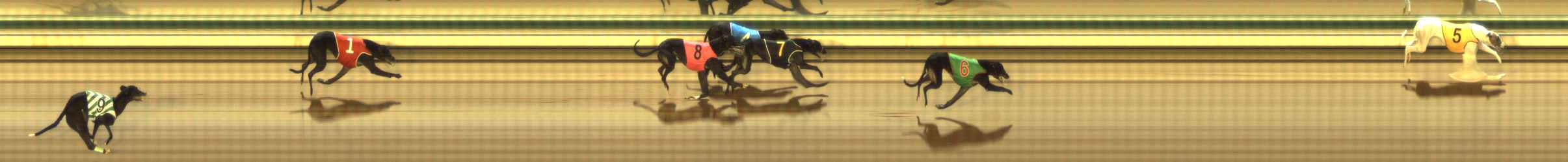 Photo finish for The Meadows Race 1