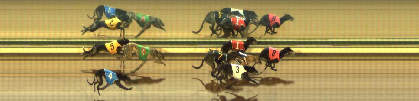 Photo finish for The Meadows Race 5