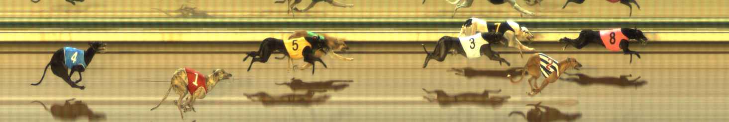Photo finish for The Meadows Race 3