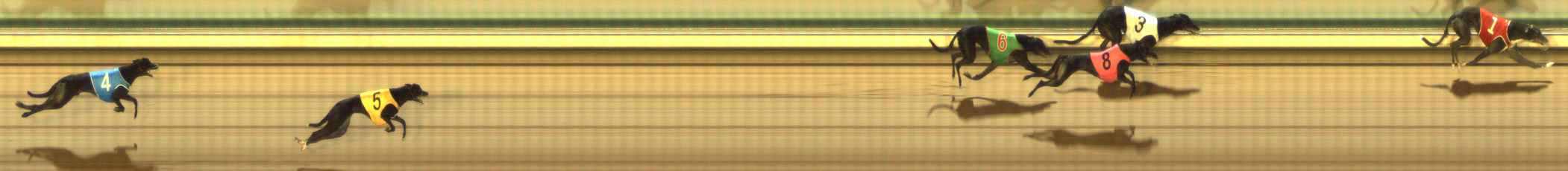 Photo finish for The Meadows Race 1
