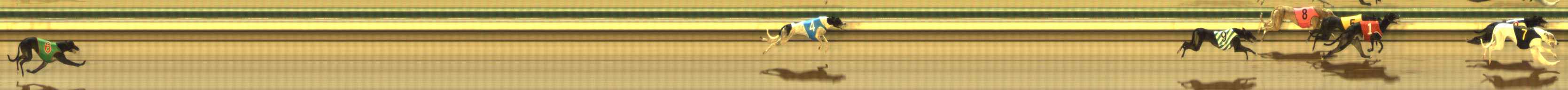 Photo finish for The Meadows Race 2
