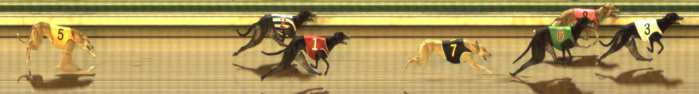 Photo finish for The Meadows Race 3