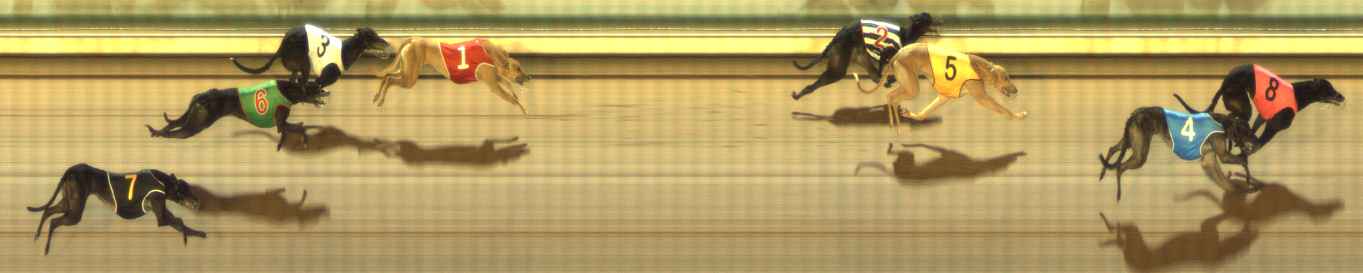 Photo finish for The Meadows Race 4
