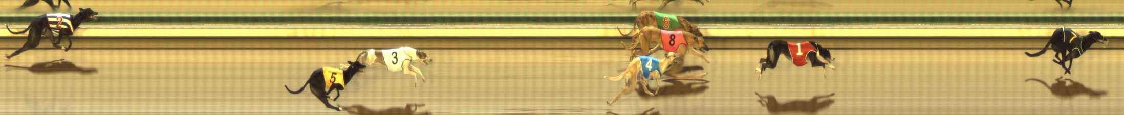 Photo finish for The Meadows Race 5