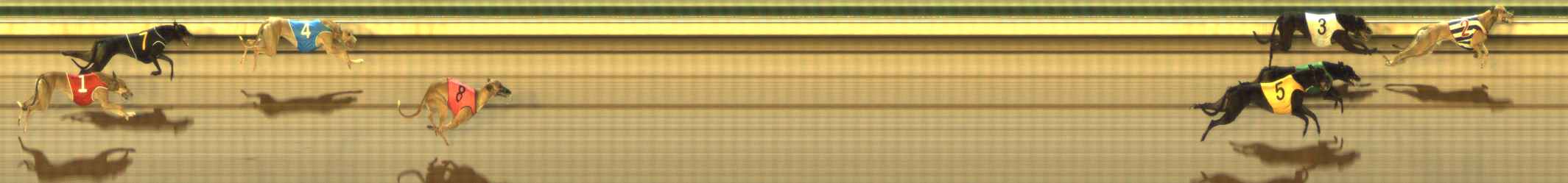 Photo finish for The Meadows Race 6