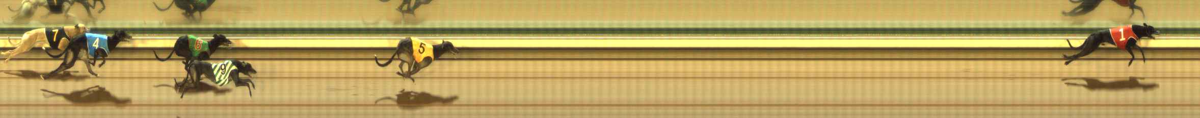 Photo finish for The Meadows Race 7