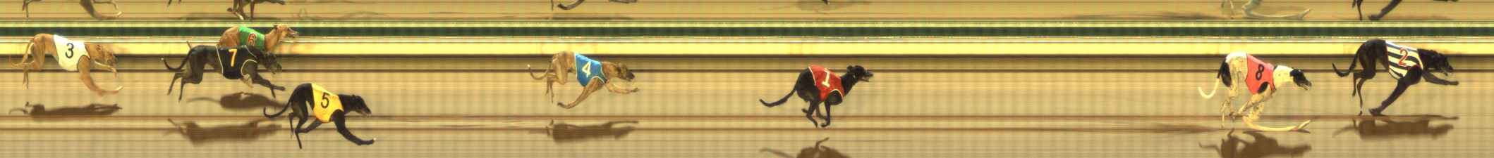 Photo finish for The Meadows Race 9