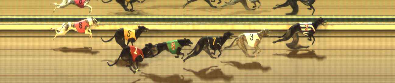 Photo finish for The Meadows Race 10