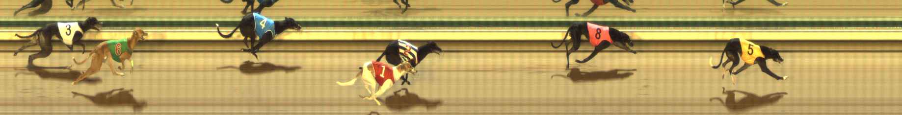 Photo finish for The Meadows Race 11