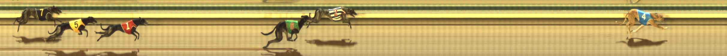Photo finish for The Meadows Race 12