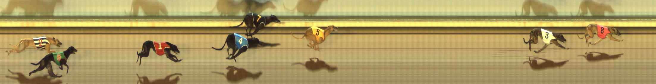Photo finish for The Meadows Race 8
