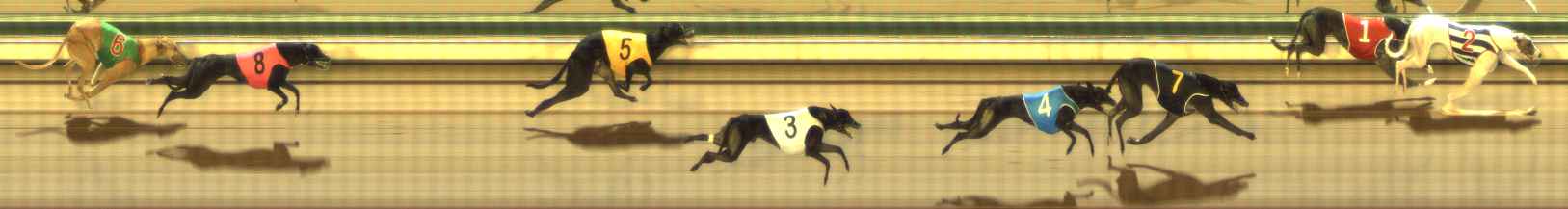 Photo finish for The Meadows Race 1